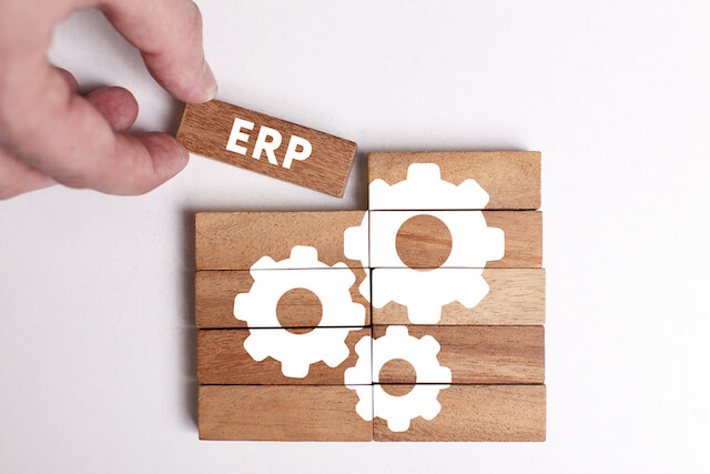 erp for distribution business